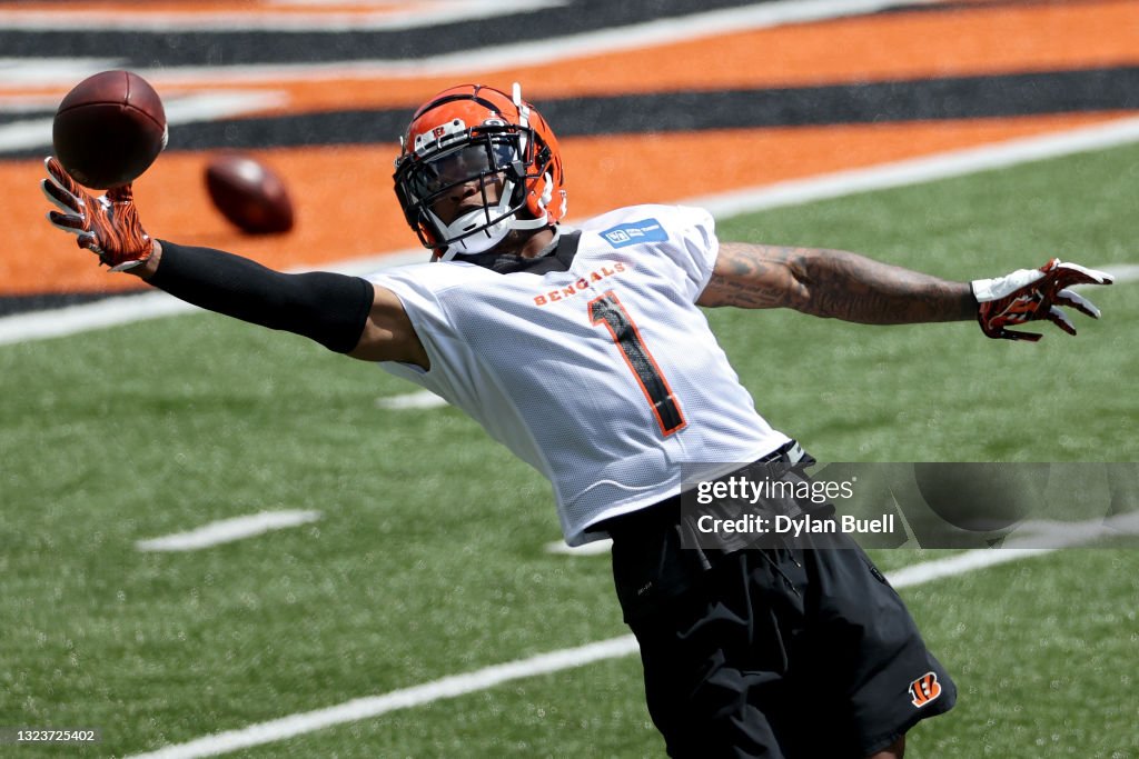 Cincinnati Bengals Mandatory Minicamp