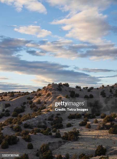 usa, new mexico, lamy, galisteo basin preserve, cloudy sky over desert landscape - lamy new mexico stock pictures, royalty-free photos & images