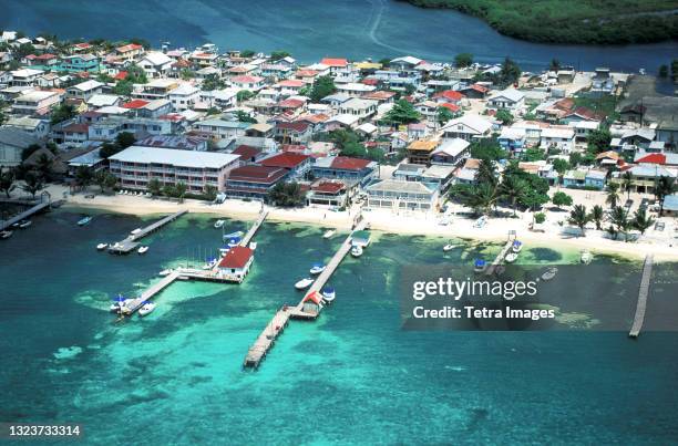 belize, placencia, aerial view of village on sea coast - belize stock-fotos und bilder