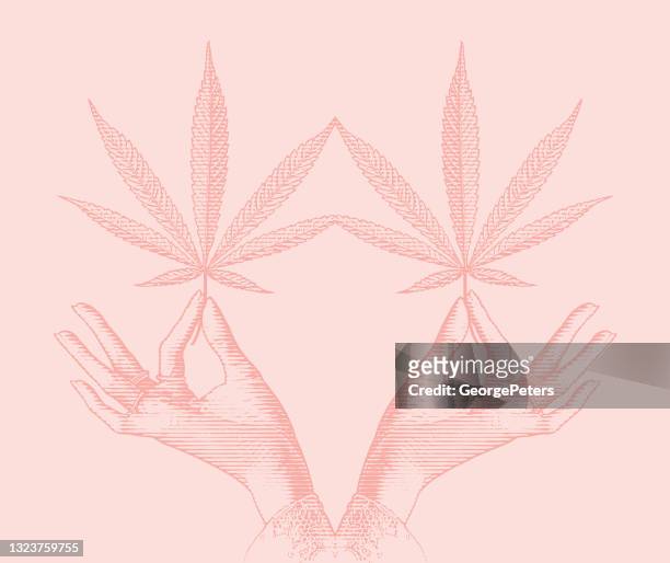 symmetrischer vektor eines hand-haltens von cannabisblättern - cannabis medicinal stock-grafiken, -clipart, -cartoons und -symbole