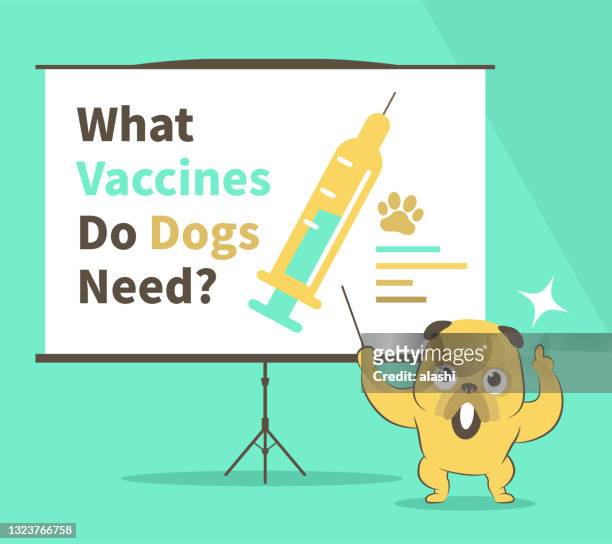 ilustrações de stock, clip art, desenhos animados e ícones de what vaccines do dogs need? cute bulldog gives a presentation about guide to canine vaccines in a conference/meeting setting - adenovírus