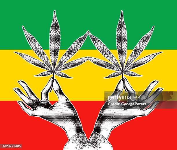 symmetrical vector of a hand holding cannabis leaf - pot leaf stock illustrations