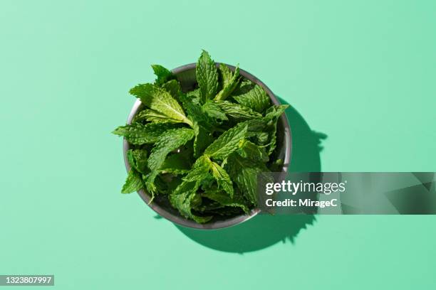 a small plate of peppermint on green background - minze stock-fotos und bilder