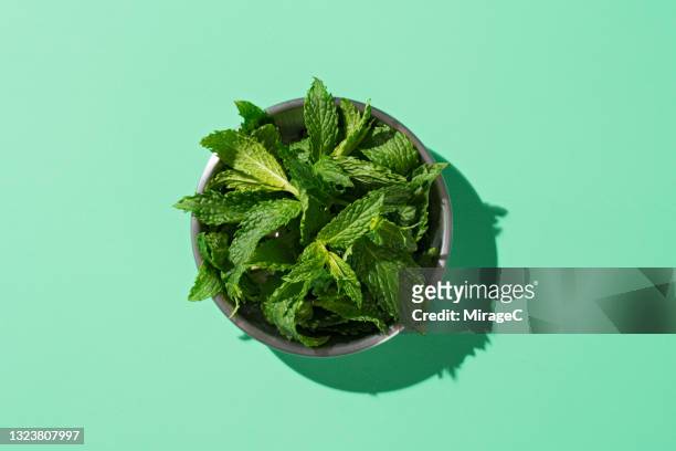 a small plate of peppermint on green background - mint stock pictures, royalty-free photos & images
