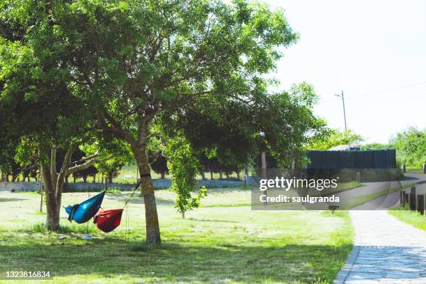 two hammocks hanging from trees in a park - leisure equipment fotografías e imágenes de stock