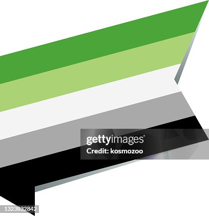 Vector isometric flat Aromantic flag Vector isometric flat Aromantic flag