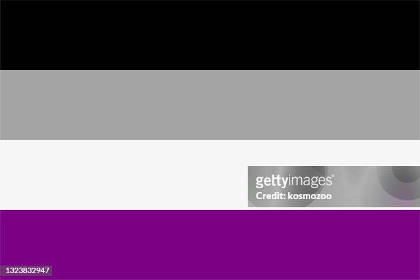 asexual flag - seringa stock illustrations