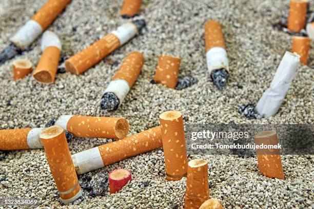 cigarette end - stubs stock pictures, royalty-free photos & images