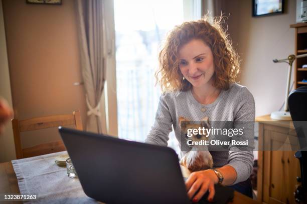 woman with dog using laptop on table at home - different types of dogs foto e immagini stock