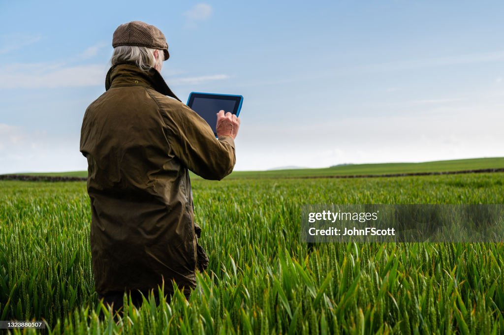 Hombre mayor que usa una tableta digital en un campo