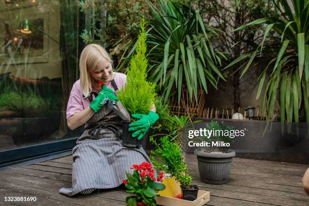 a young woman enjoys gardening and taking care of house plants - podão imagens e fotografias de stock