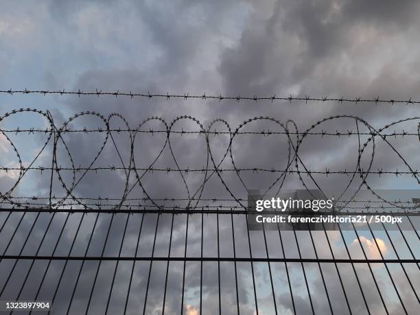 low angle view of barbed wire against sky - prison stock-fotos und bilder