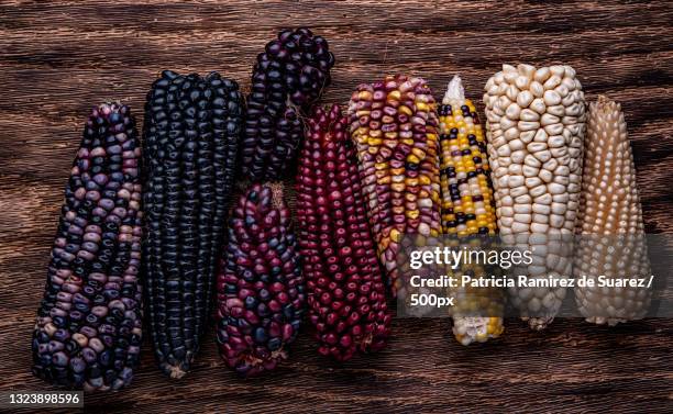 Corn Example 5,443 Corn Varieties Stock Photos, High-Res Pictures, and Images ...