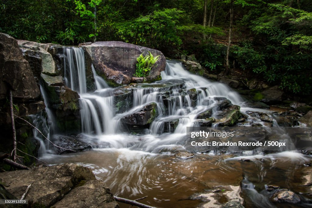 Scenic view of waterfall in forest