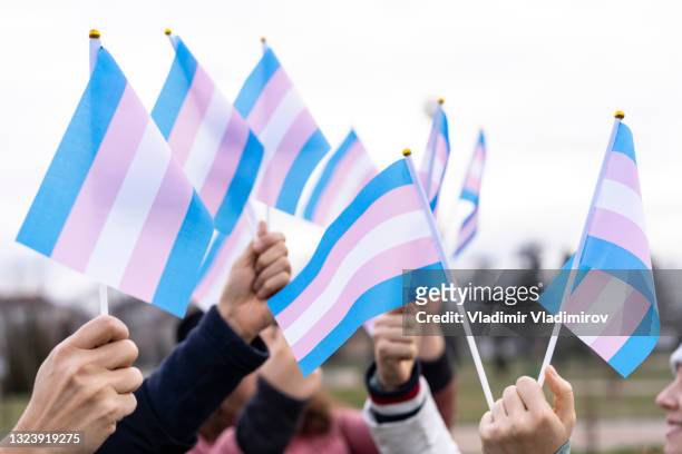 people holding transgender flags - social awareness symbol stock pictures, royalty-free photos & images