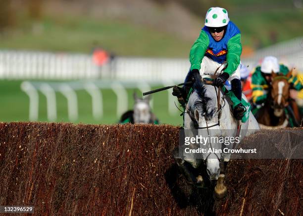 Timmy Murphy riding Great Endeavour clear the last to win The Paddy Power Gold Cup Steeple Chase at Cheltenham racecourse on November 12, 2011 in...