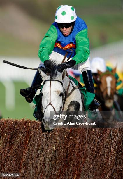 Timmy Murphy riding Great Endeavour clear the last to win The Paddy Power Gold Cup Steeple Chase at Cheltenham racecourse on November 12, 2011 in...