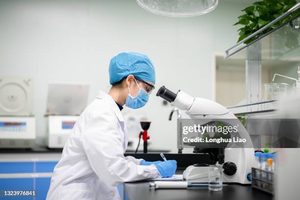 a young woman doctor was working at a microscope - biotechnologie photos et images de collection