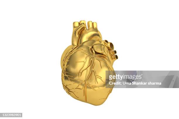 golden heart, actual human golden heart computer generated image. - heart shape 3d stock pictures, royalty-free photos & images