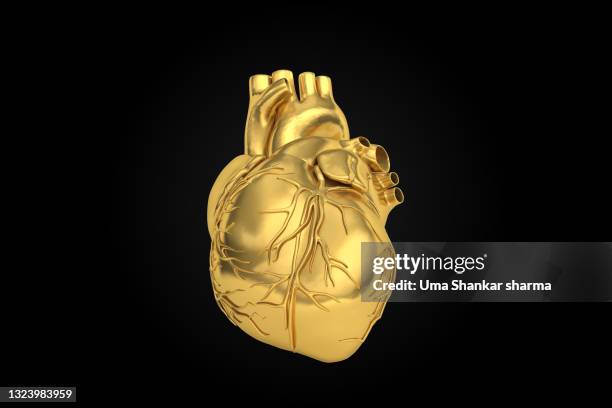 golden-heart-actual-human-