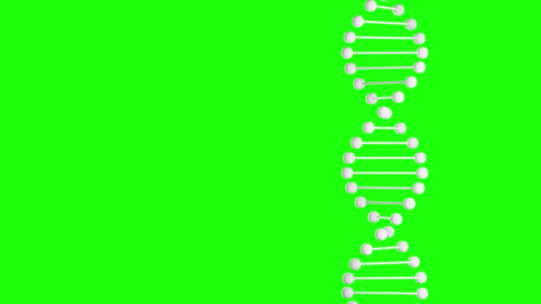 Dna Rotating Model 2,377 Dna Model Stock Videos, Footage, & 4K Video Clips - Getty Images