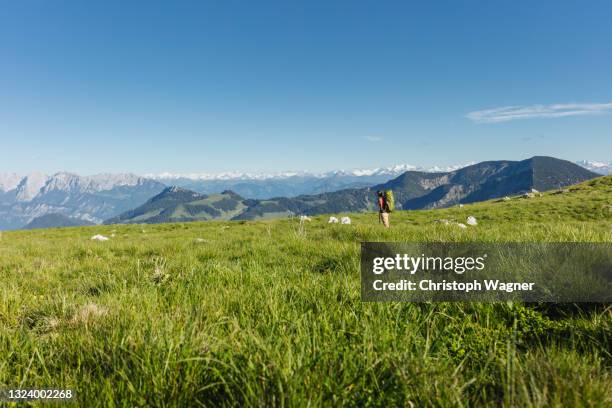 woman hiking in the alps - alpes do allgäu imagens e fotografias de stock