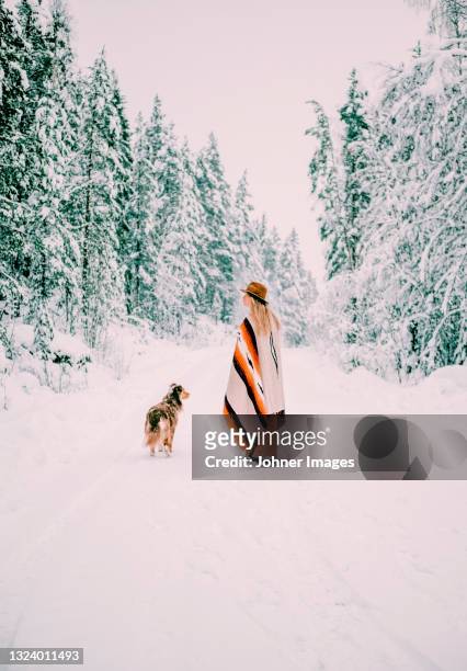 woman with dog at winter - dalarna winter stock-fotos und bilder