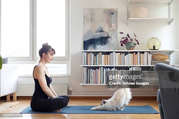 woman with cat on yoga mat - stretching at work stock pictures, royalty-free photos & images
