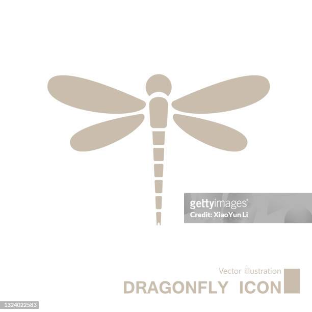 vector drawn dragonfly icon. - dragon fly stock illustrations