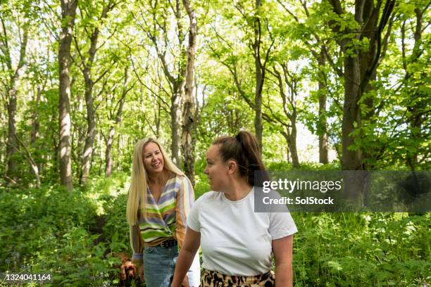 passeggiate nel bosco dei cani - i-love-you-frase-inglese foto e immagini stock
