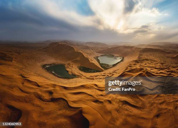 oasis in the desert - gobi desert stock pictures, royalty-free photos & images