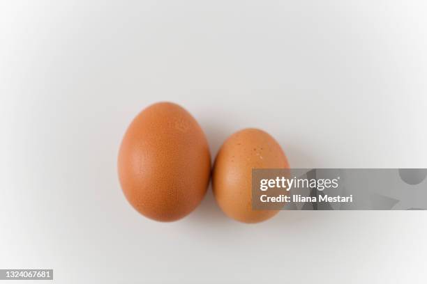 close up eggs - carton of eggs stock pictures, royalty-free photos & images