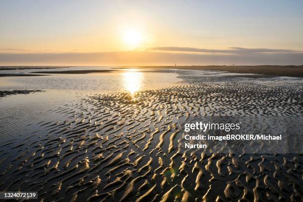 sandy beach beach with ripple pattern, spiekeroog, east frisian island, east frisia, lower saxony, germany - wattenmeer stock-fotos und bilder