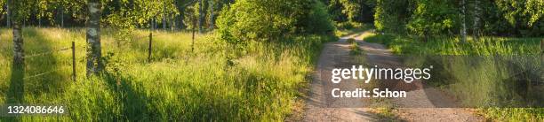 panorama of a gravel road in greenery in summer in evening light - road light trail stock pictures, royalty-free photos & images