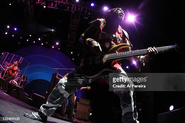 Bassist Amiak Tafari and Steel Pulse performs as part of Celebrate Brooklyn at the Prospect Park Bandshell on July 1, 2011 in the Brooklyn borough of...