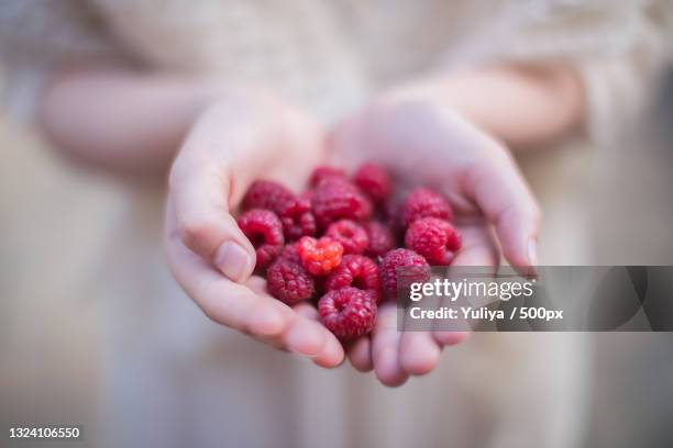 midsection of woman holding raspberries - framboos stockfoto's en -beelden