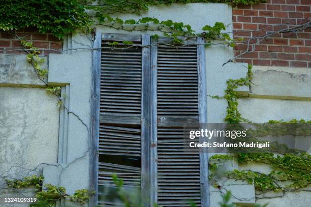 window with shutters worn by time, abandoned villa - toxicodendron diversilobum stock pictures, royalty-free photos & images