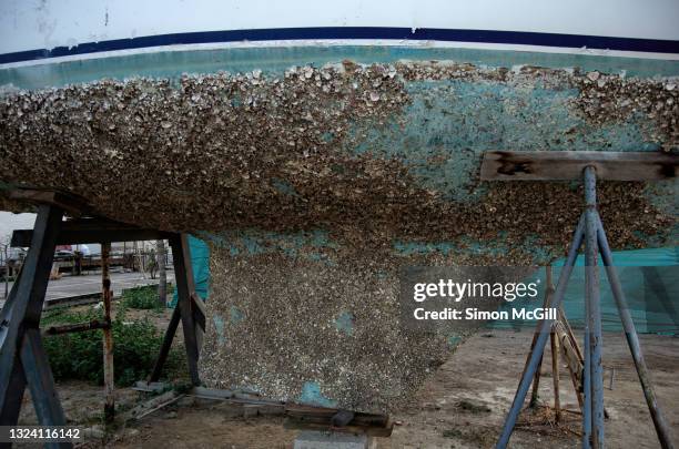 barnacles on the hull and keel of a yacht propped up in dry dock - barnacle foto e immagini stock