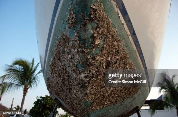 barnacles on the hull of a yacht propped up in dry dock - barnacle foto e immagini stock