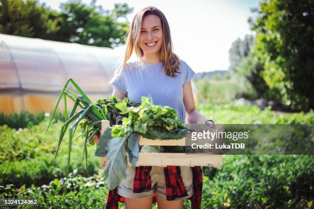 more than successful harvest - harvest basket stockfoto's en -beelden