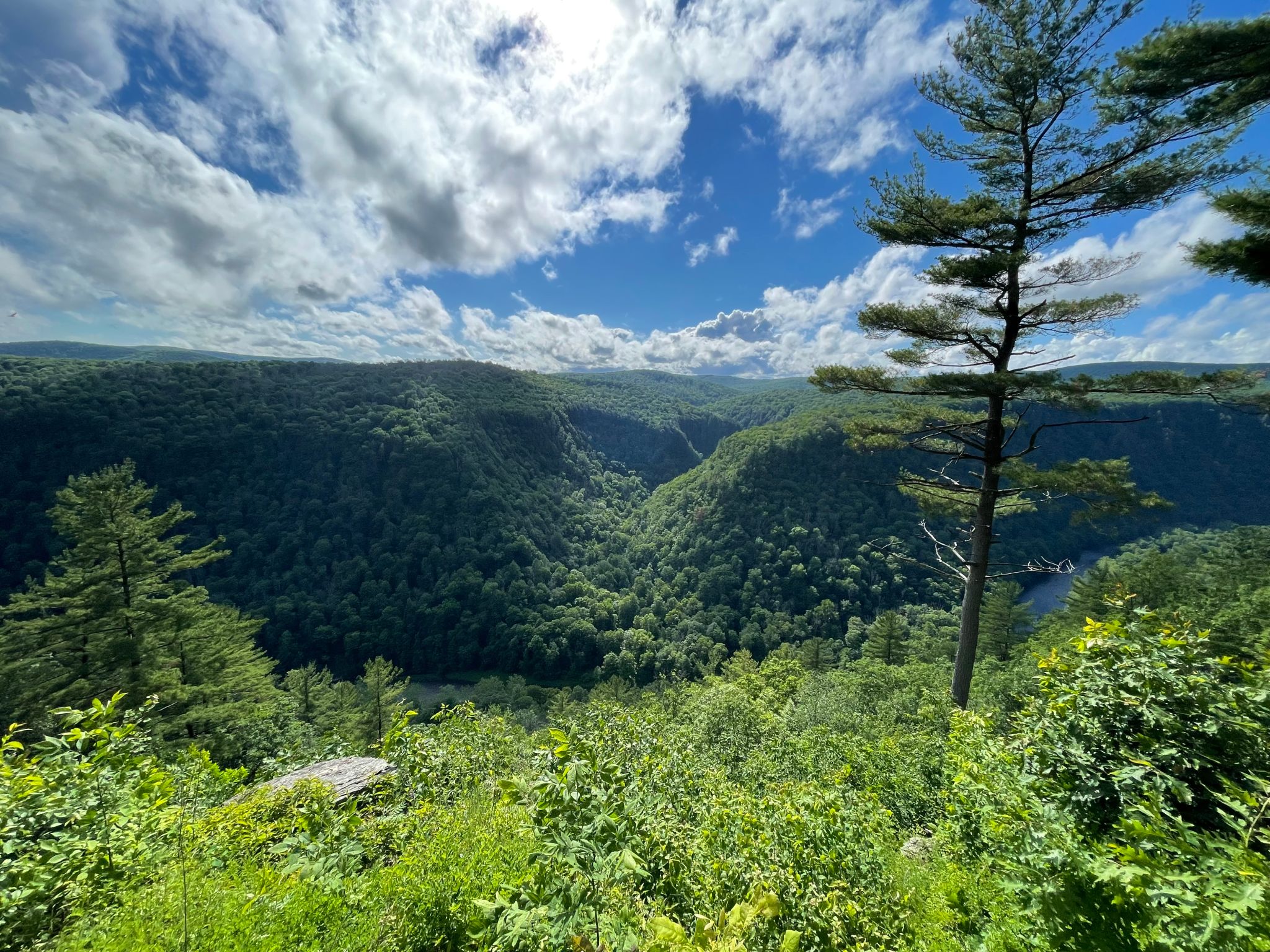 tioga county