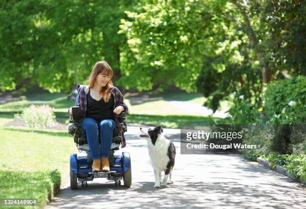 happy woman in wheelchair walking dog in park. - wheelchair stockfoto's en -beelden
