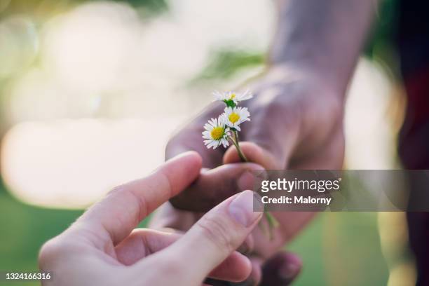 close-up of young couple exchanging flowers. - geven stockfoto's en -beelden