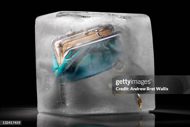 purse and coins frozen in an ice block - freeze ideas stock pictures, royalty-free photos & images