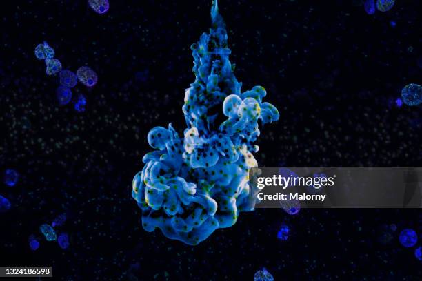 abstract color cloud on black background. surrounded by cell structure. - stem cell background stock pictures, royalty-free photos & images