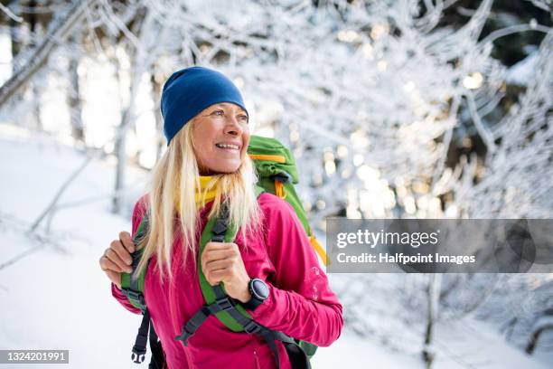 senior woman hiker walking in forest in winter nature. - one senior woman only stock pictures, royalty-free photos & images