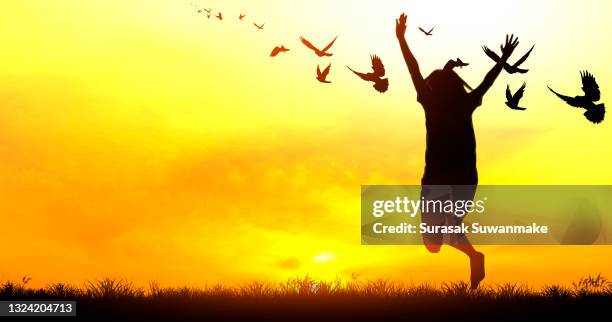 free bird with nature on sunset background concept of hope - releasing birds stock pictures, royalty-free photos & images