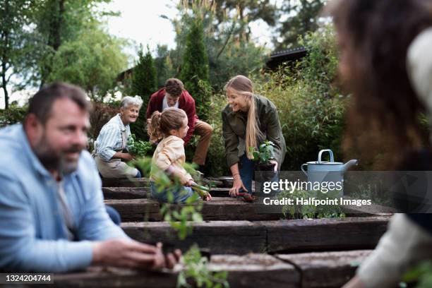 group of people working in vegetable garden, community farming. - giardino pubblico orto foto e immagini stock