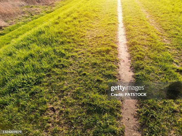 sunset sunlight illuminating footpath leading on the top of the dike. - embankment stock pictures, royalty-free photos & images