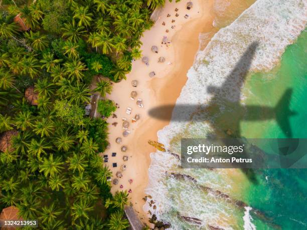 airplane silhouette over a tropical beach with palm trees. travel and resort vacation concept - airplane food stock-fotos und bilder